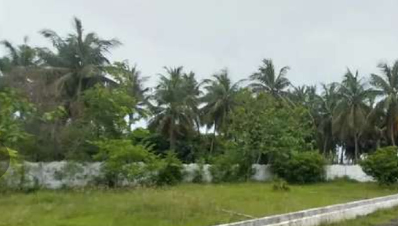 Land for sales
