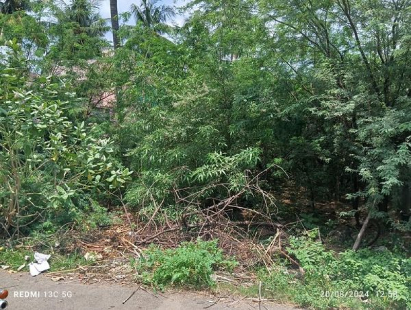 Land for sales