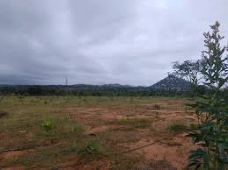 Plot sale