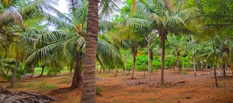 Single Property Image
