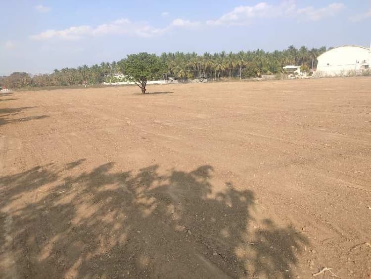 Plot sale