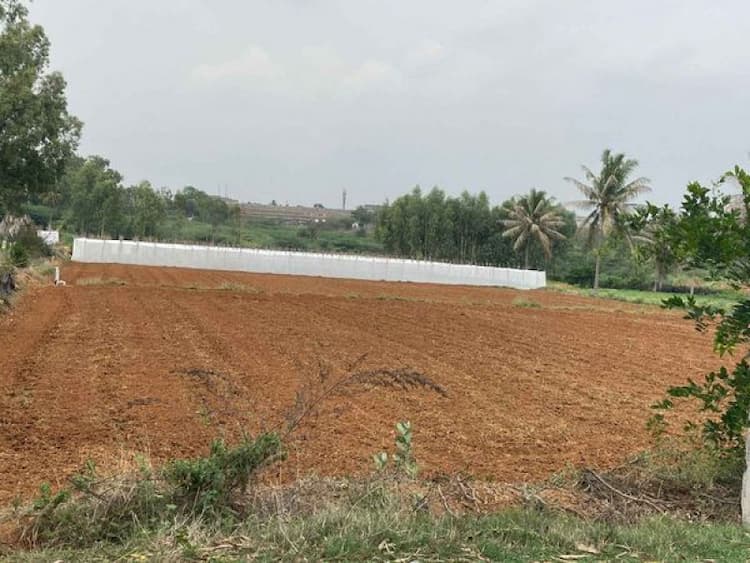 Plot sale