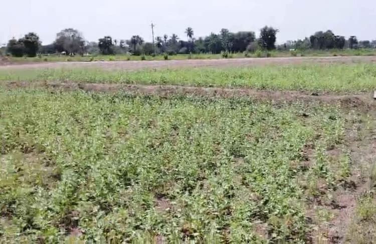 Land for sale near  Melmaruvathur.