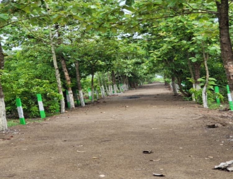 Single Property Image