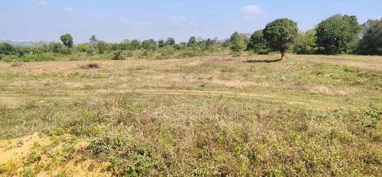 Agricultural Land