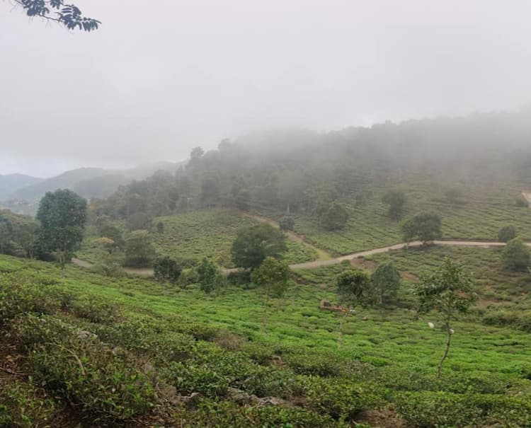 FARM LAND FOR SALE 