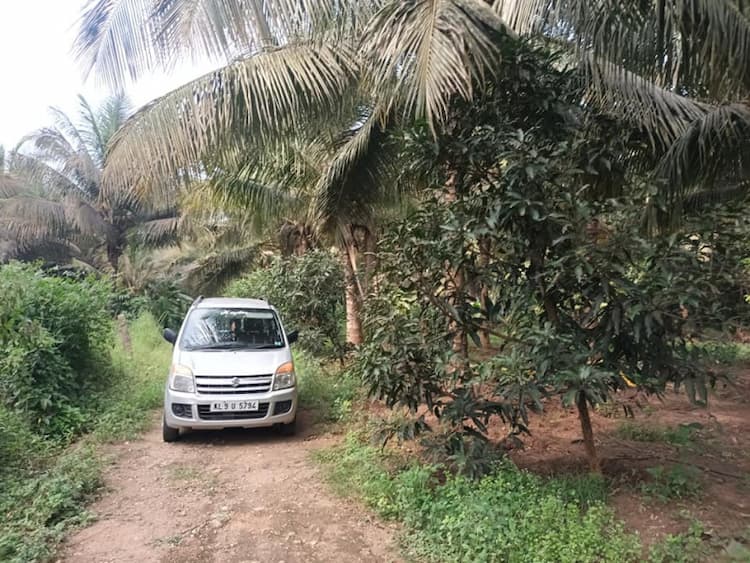 12 Acer coconut farm  land for sale