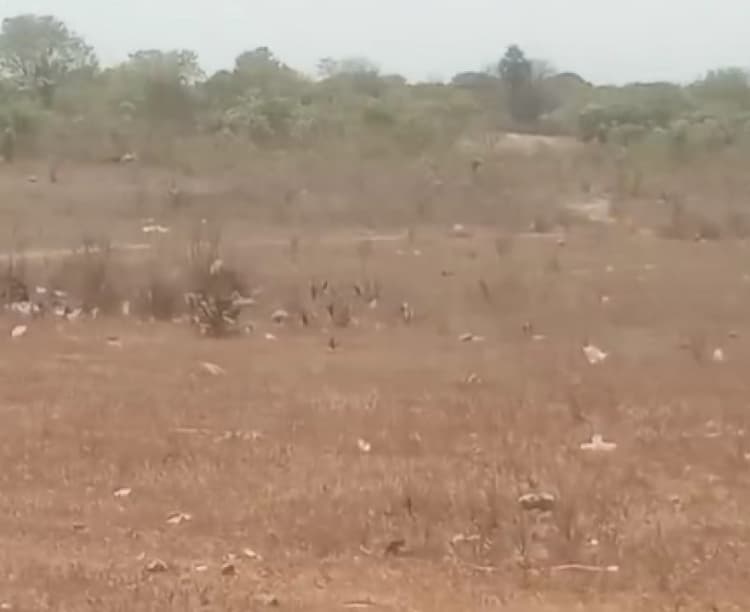 Land for sales