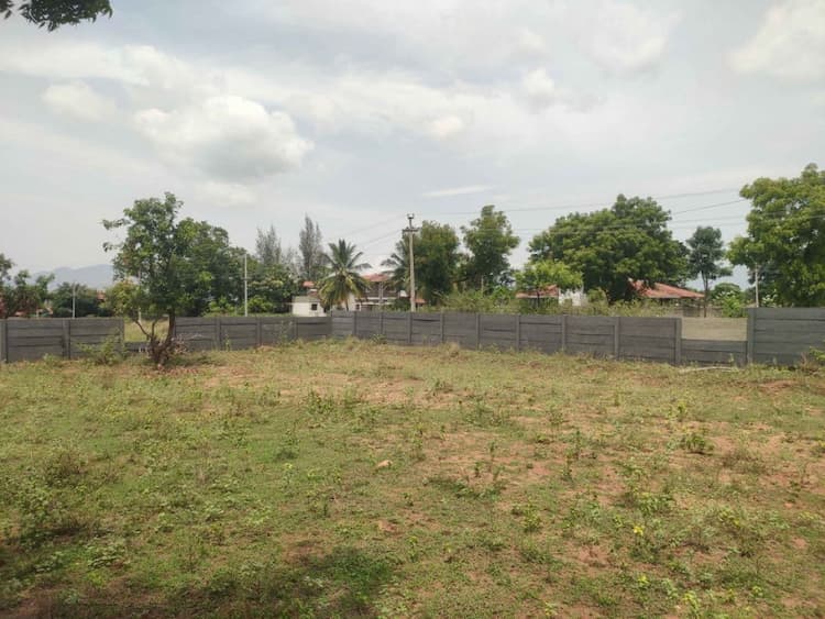 Green Home Land For Sale