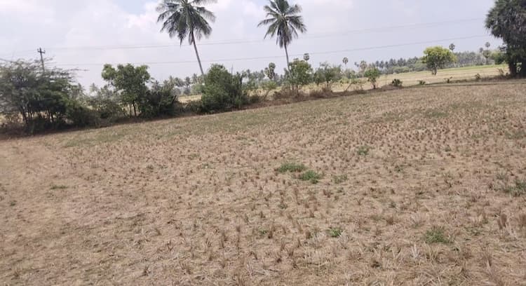 agri land for sale 