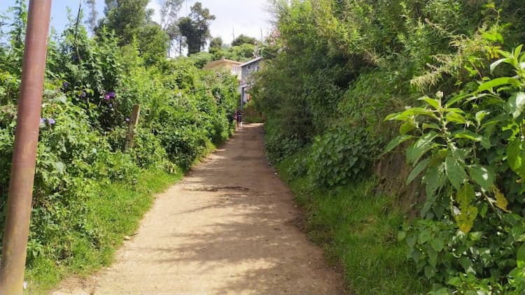 Single Property Image