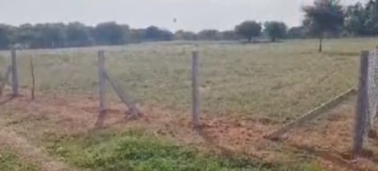 land for sales