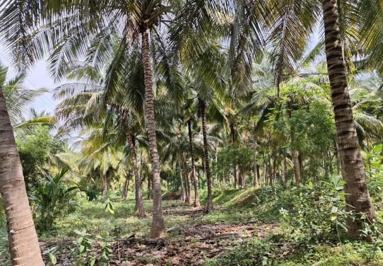 Single Property Image
