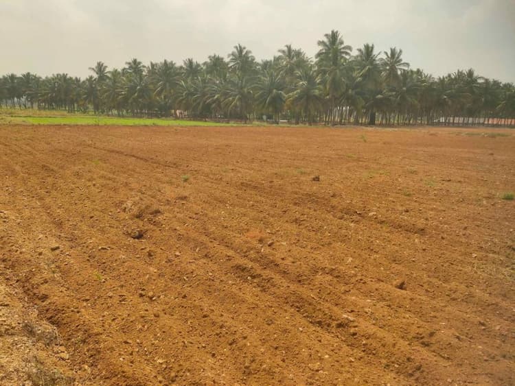 land sale
