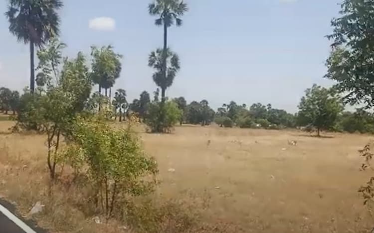 Land for sales