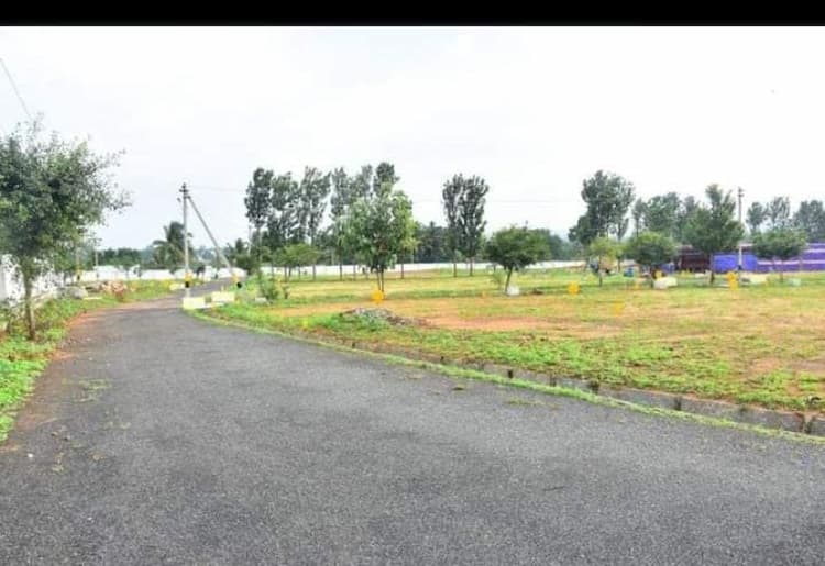 Plot sale