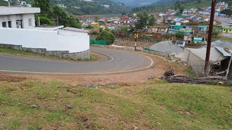 Tea land available for sale 