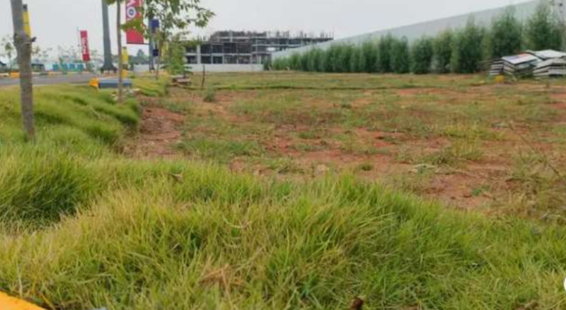 plot for sale