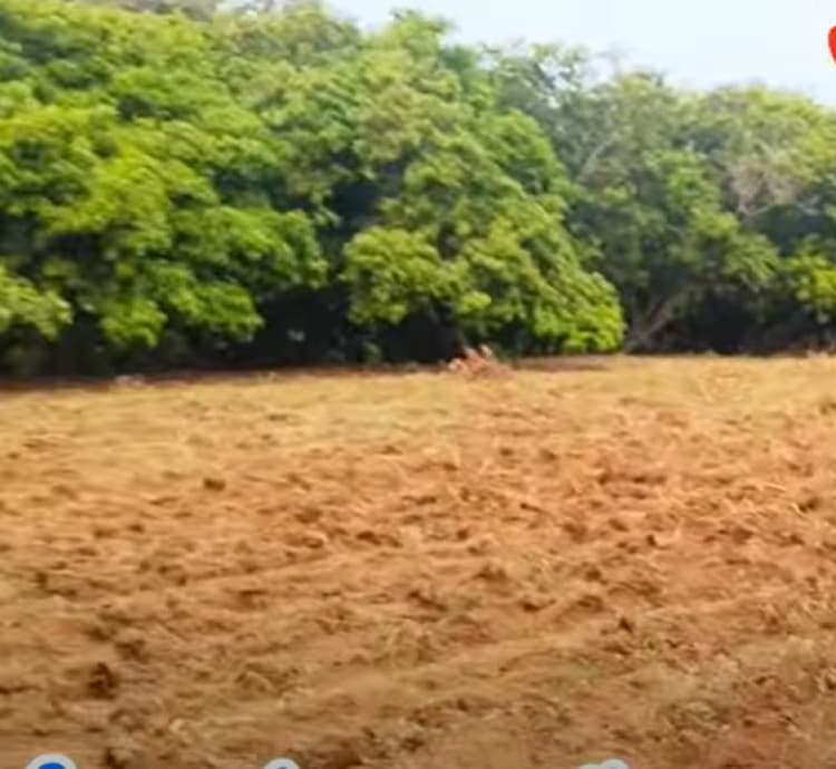  3.8 Acres land for sales