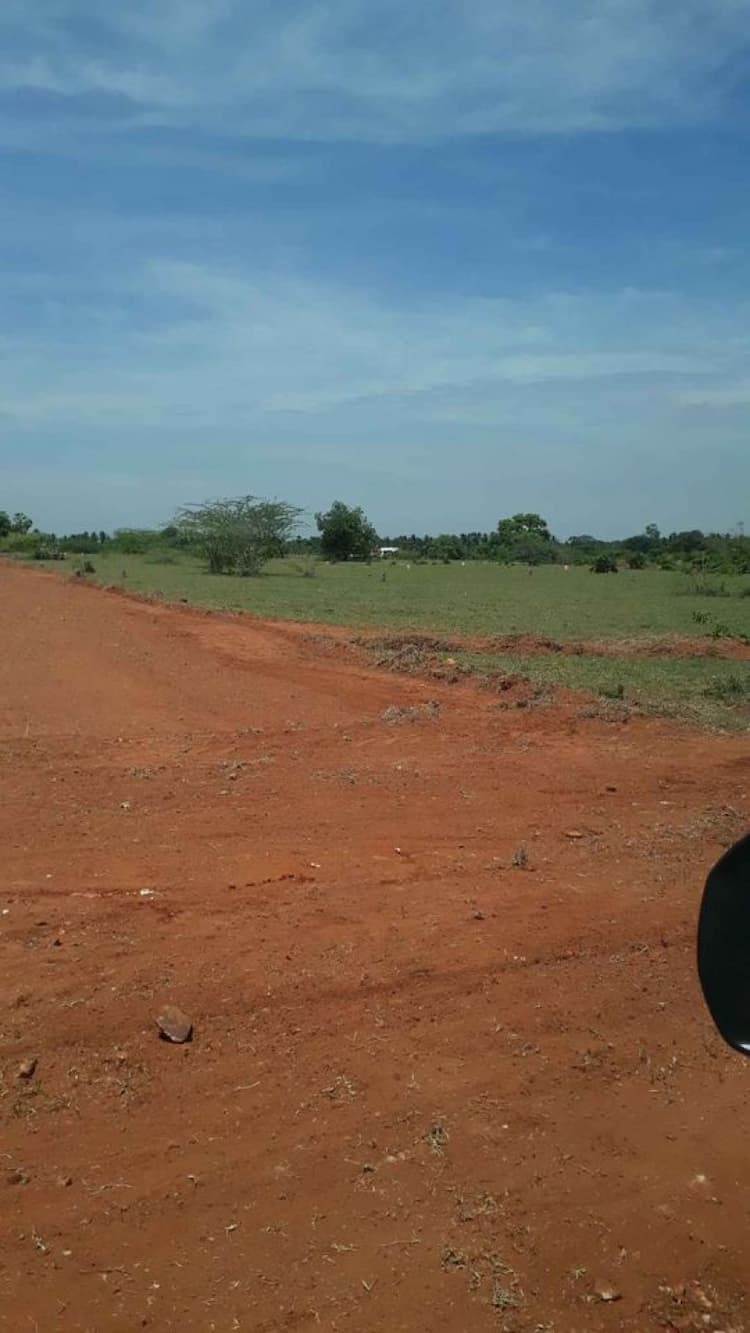 Dry agri land sale in Kovilpalayam 