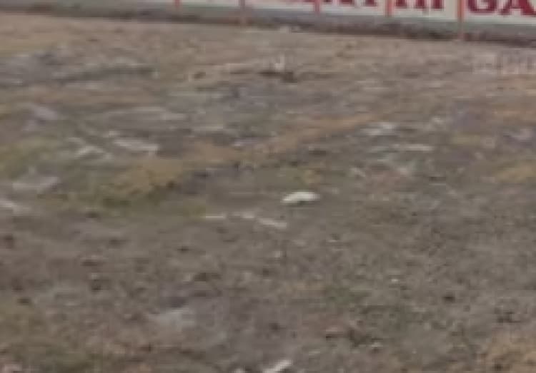 Land for sales
