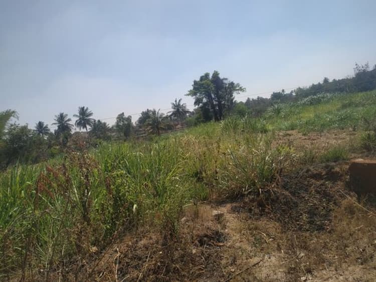 Land sale