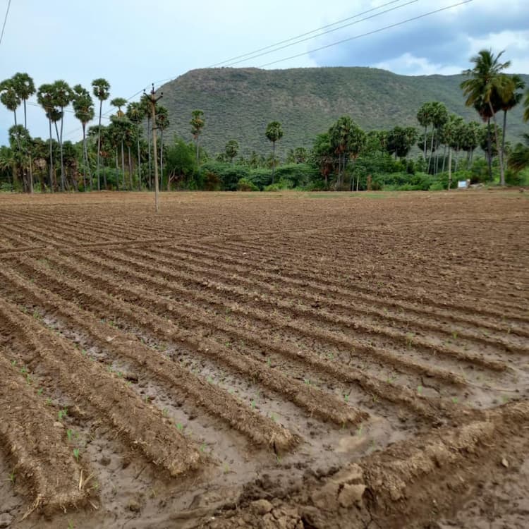 AGRICULTURAL LAND AND A NEWLY BUILT HOUSE FOR SALE