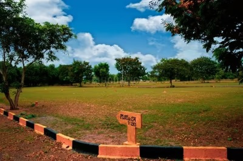 Residential Plot