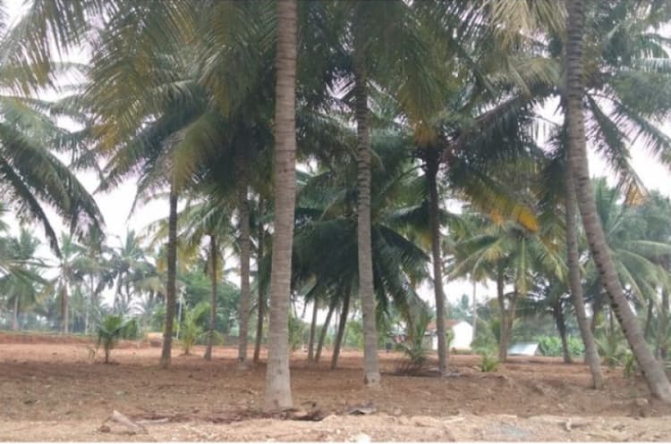 2 Acre for sales