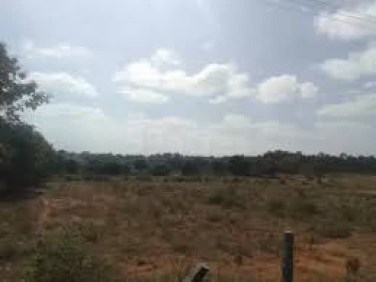 Plot sale