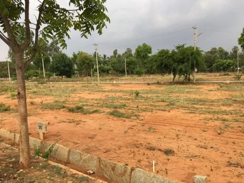 Residential plot