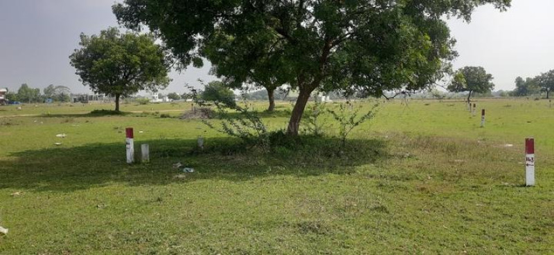 1692 sqft Plot