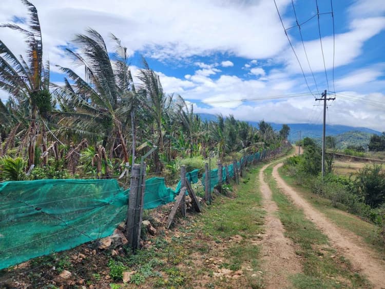 farm land for sale