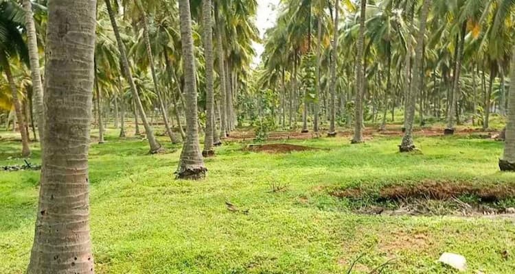 Single Property Image