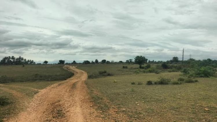 Single Property Image