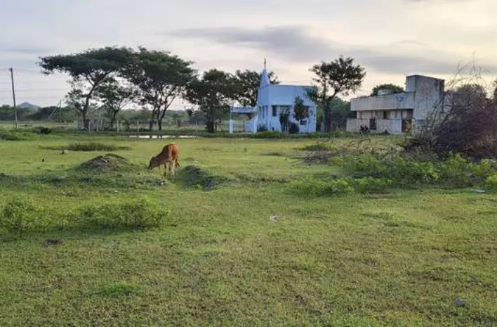 plot for sale
