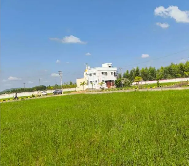 plot for sale