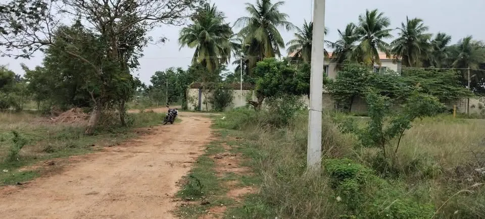 Land for sales