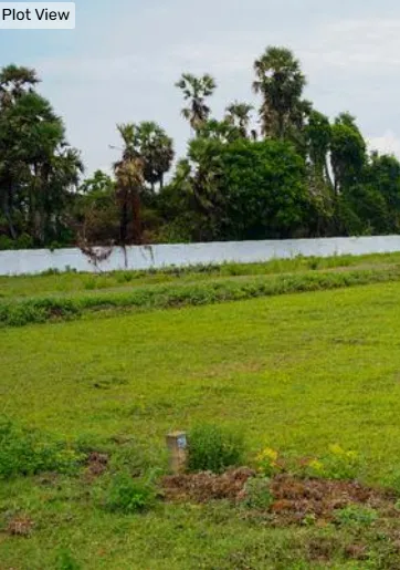 plot for sale