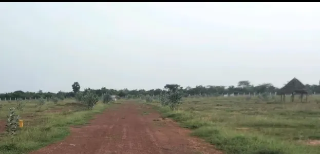 plot for sale