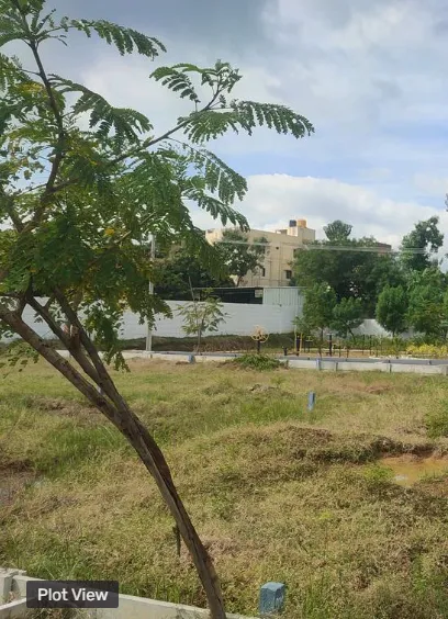 plot for sale