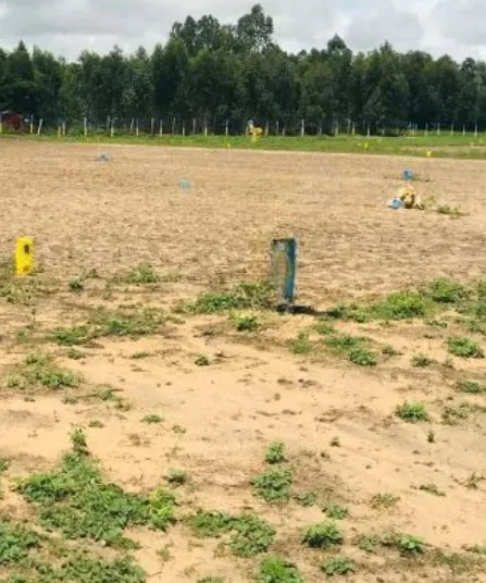 Land for sale