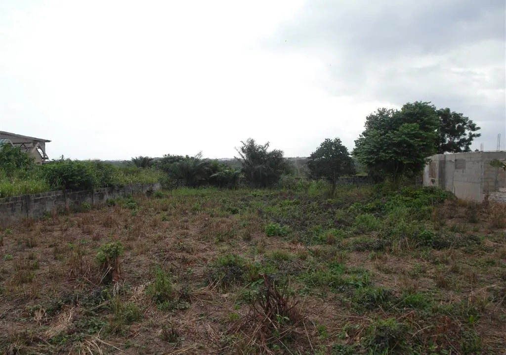 Land for Sale
