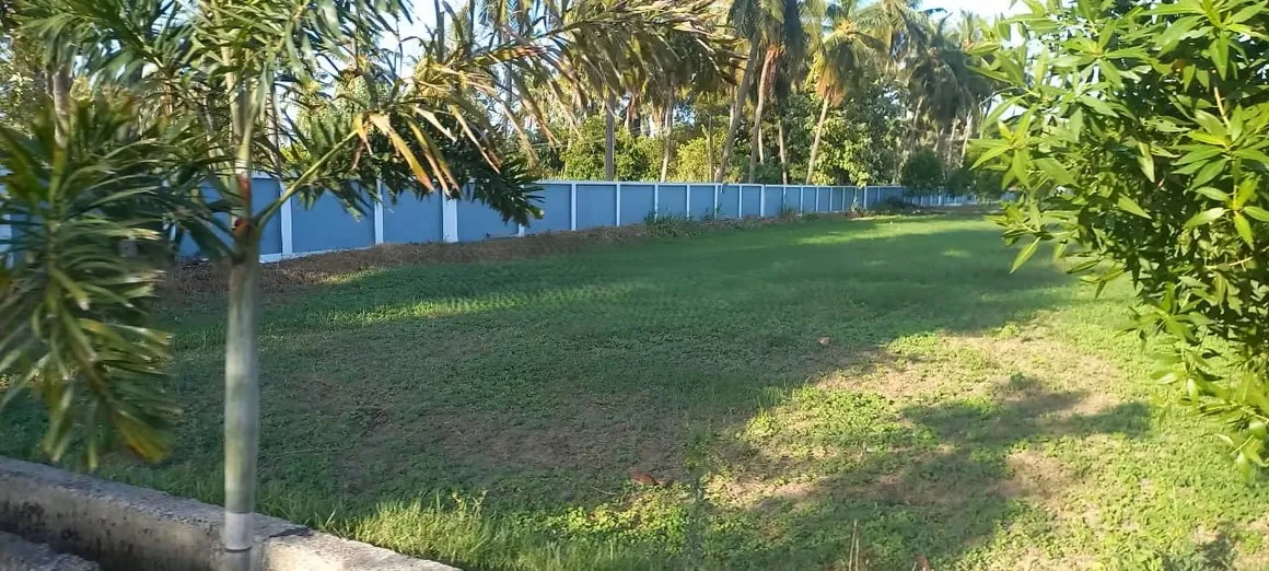 plot for sale