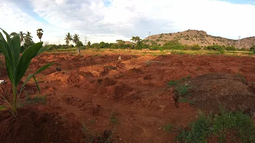 Land for Sale