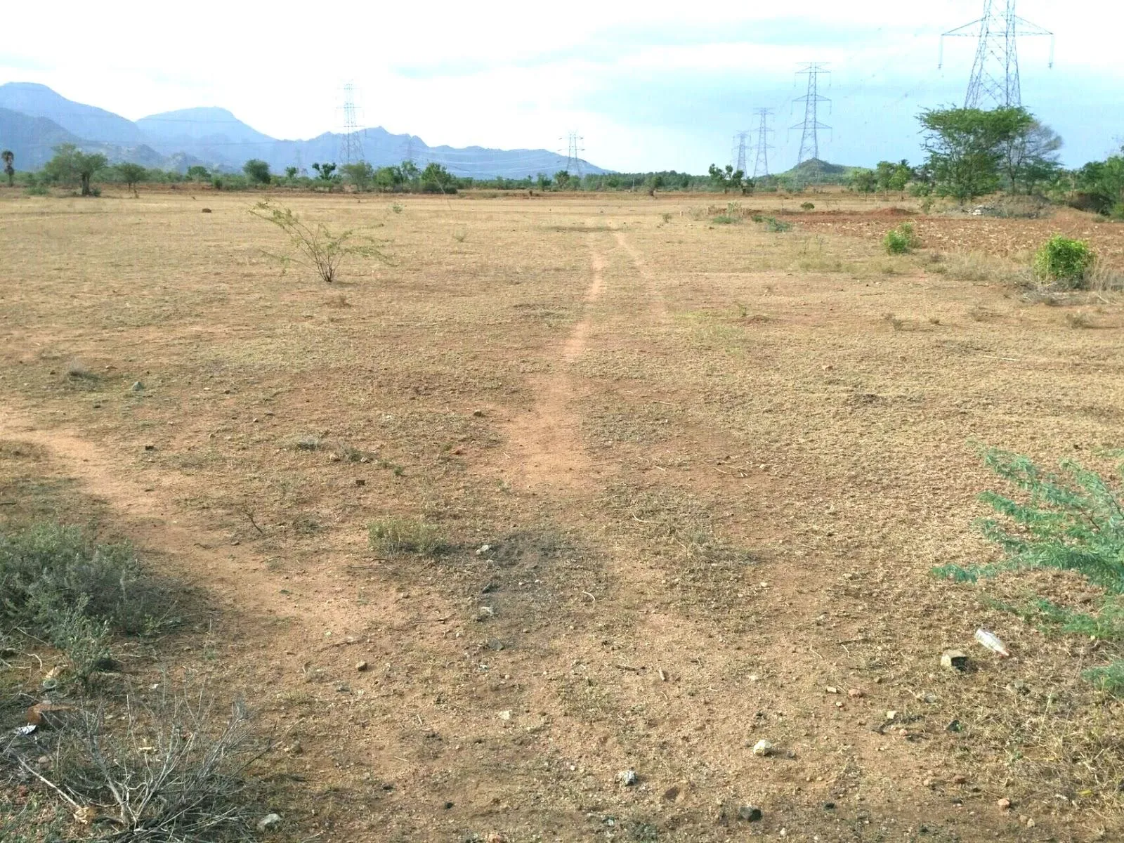 Land for Sale