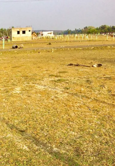 plot for sale