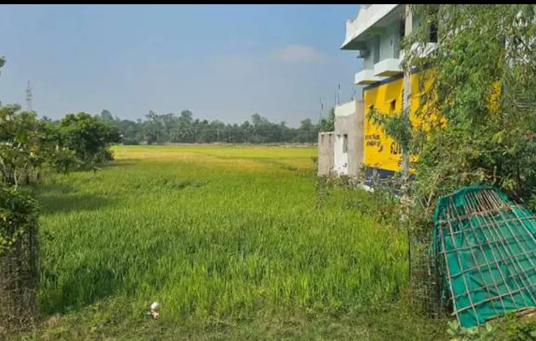 Land for sales