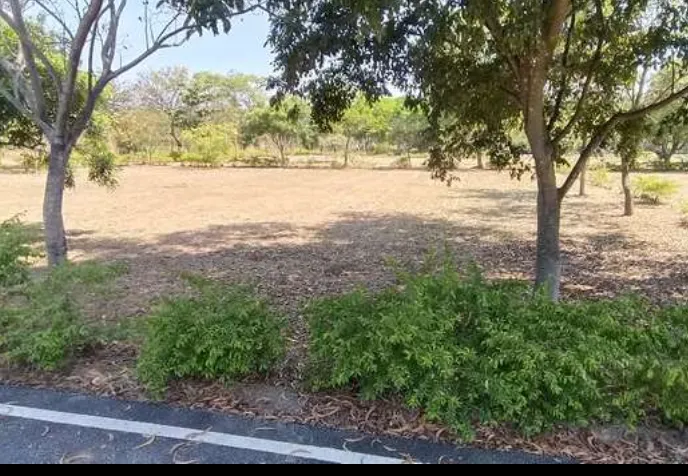 site for sale
