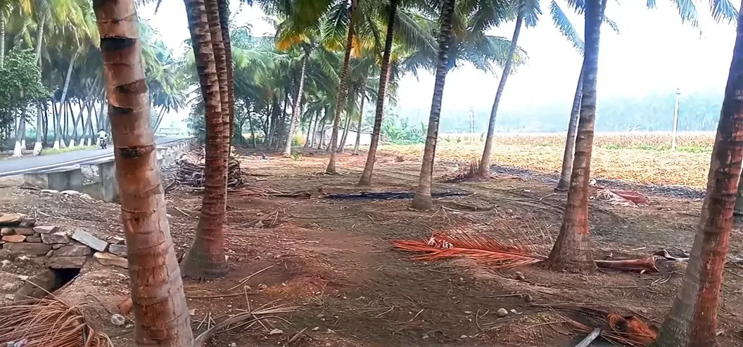 Land for Sale